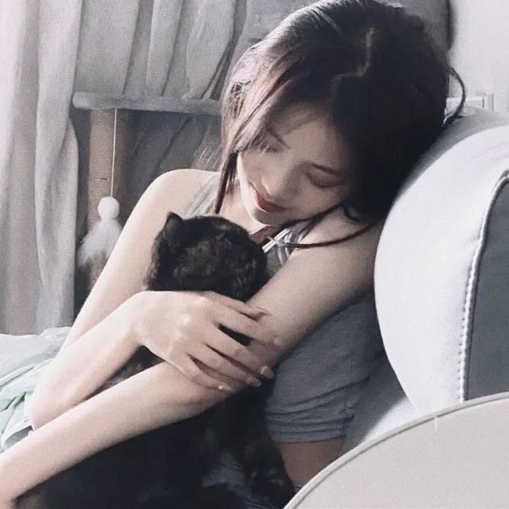 热铁皮屋顶上的猫 封面